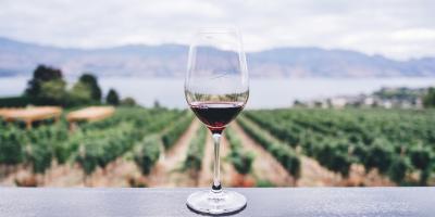 Dlaczego alkoholu nie zaleca się w profilaktyce chorób?