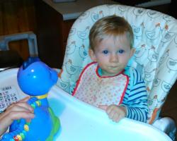 Skąd się biorą niejadki 